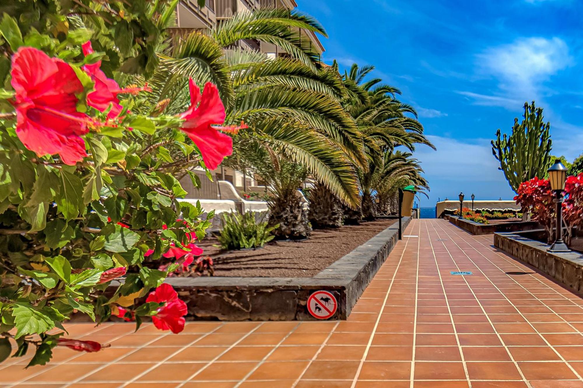 Atlantis 3 One Bedroom, Sea Front, In Complex With Pool Costa del Silencio Exterior foto